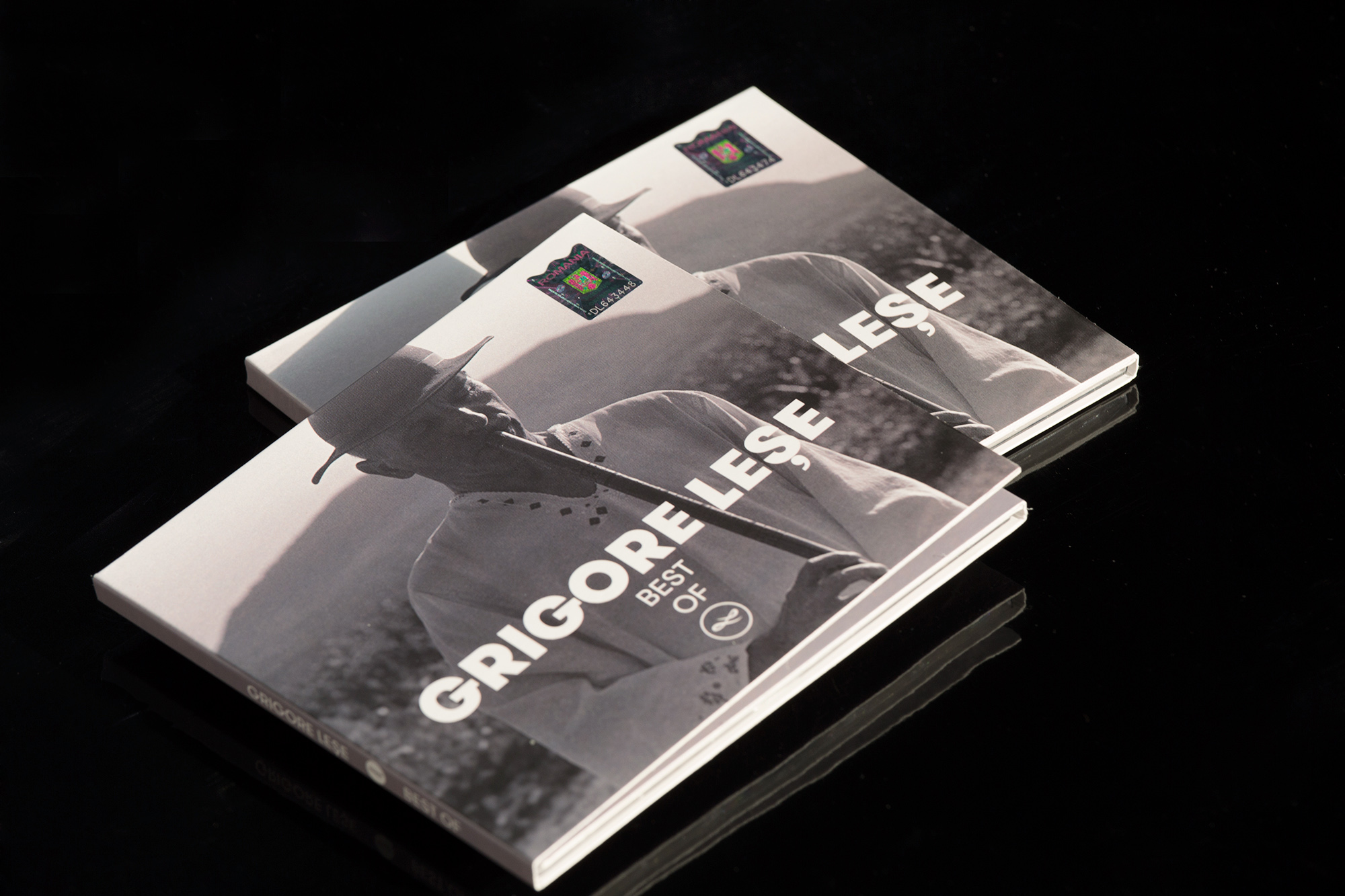 Brand Identity Mircea Mocanu Grigore Lese